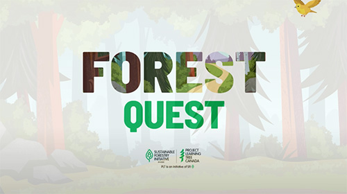 Forest Quest game title