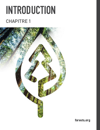 SFI 2022 Standards Introduction