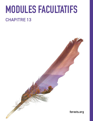 MODULES FACULTATIFS