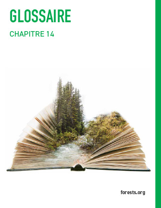 GLOSSAIRE
