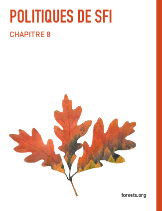 POLITIQUES DE SFI