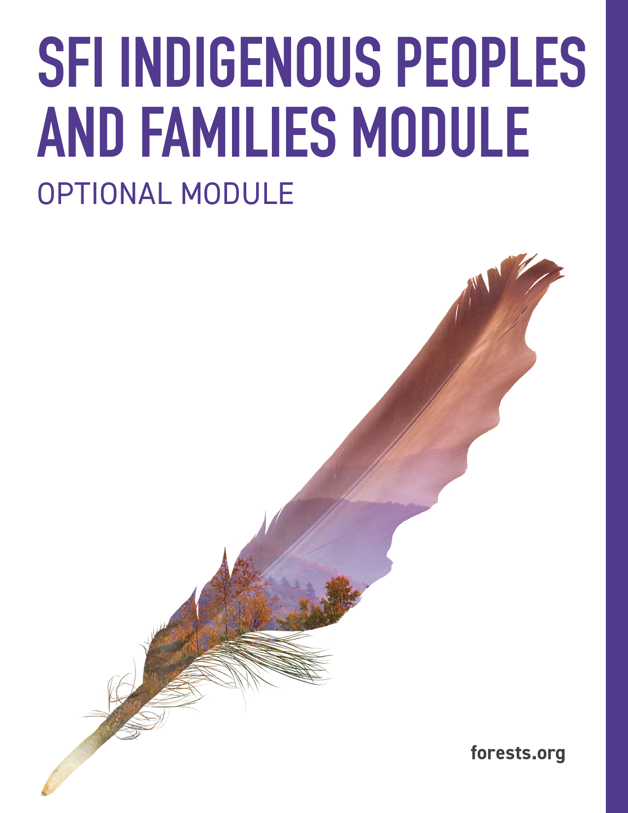 SFI Small-Scale Forest Management Module for Indigenous Peoples and Families and Communities