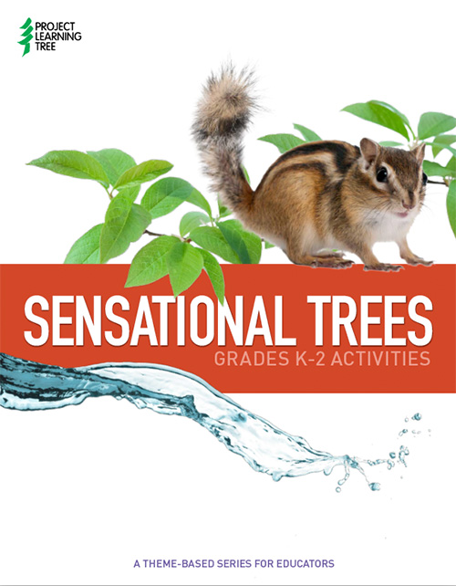 Sensational Trees publication