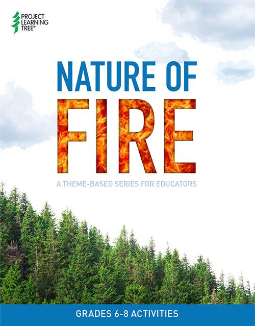 Nature of Fire publication