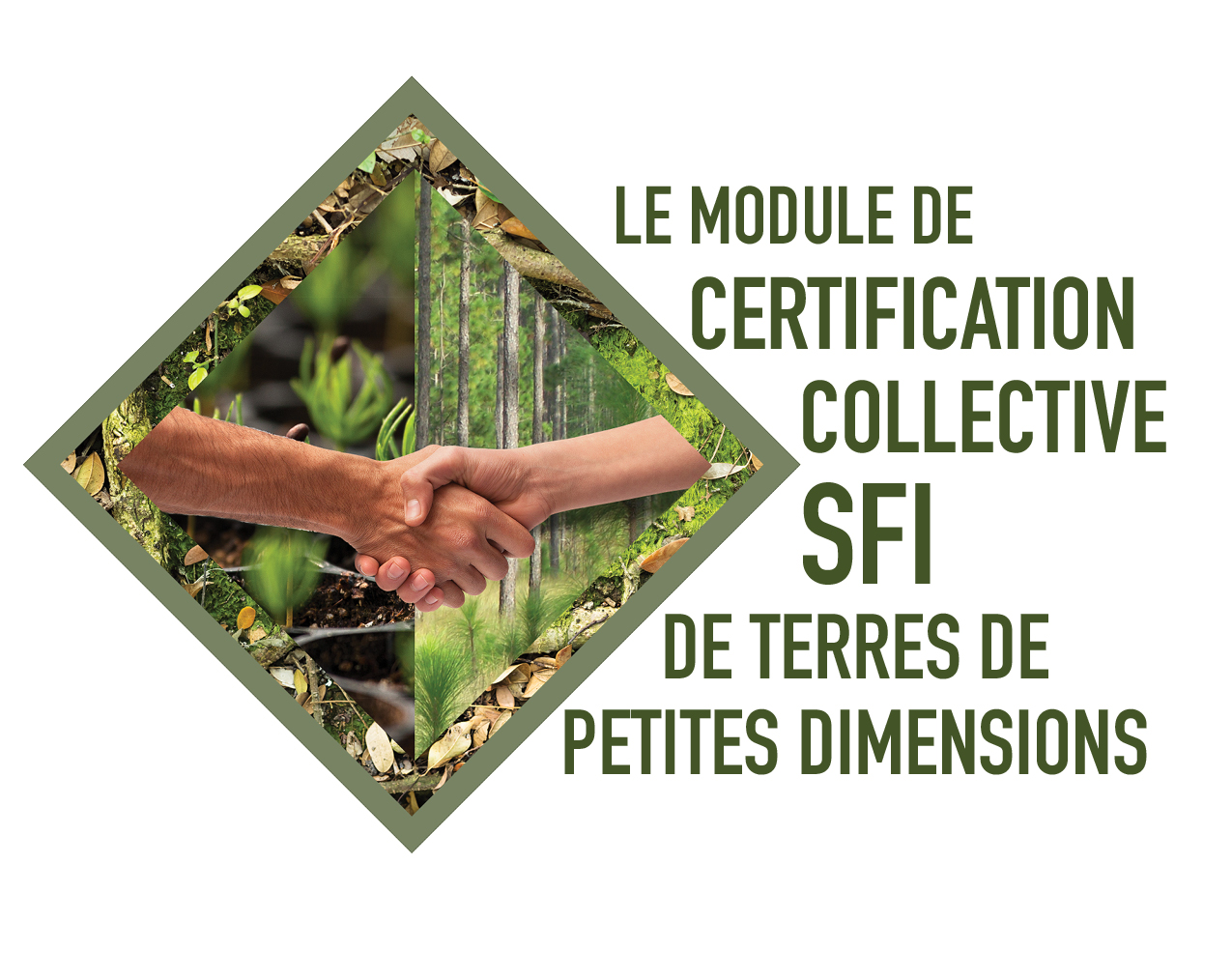 ACF_SmallLands_FR