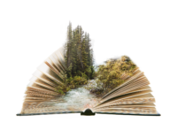 Book