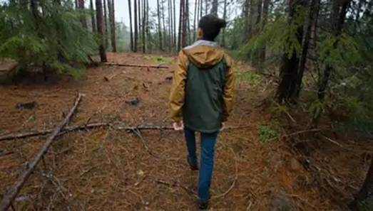 Respecting Aboriginal and Treaty Rights within Sustainable Forest Management