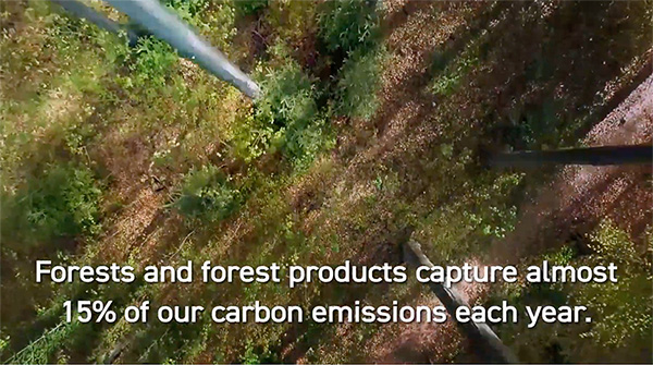 Forests and forest products capture almost 15% of carbon emissions