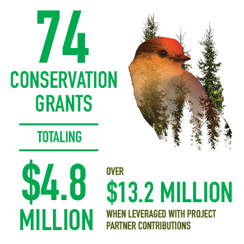 Conservation - Grants 