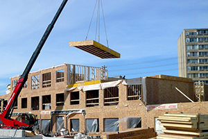 DP-certified-wood-file-photo-mainweb_300x200