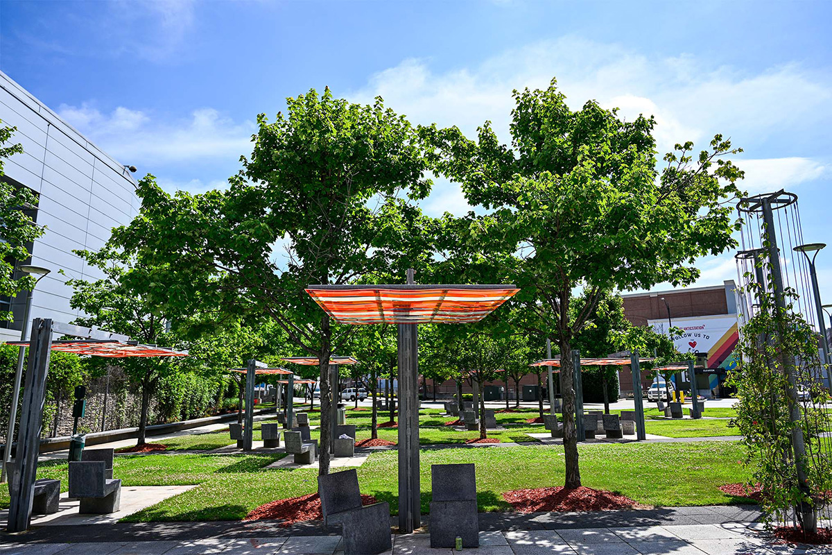 Shade canopy in the park