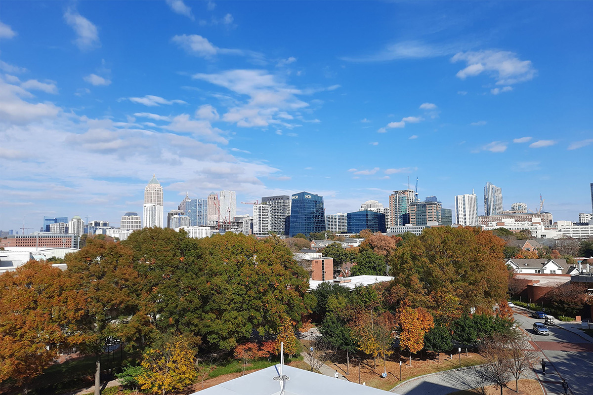 City skyline above park tree canopy