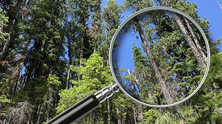 Get Certified & Third Party Audits