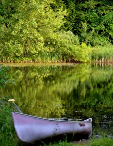 Greenbuild_Canoe_sml