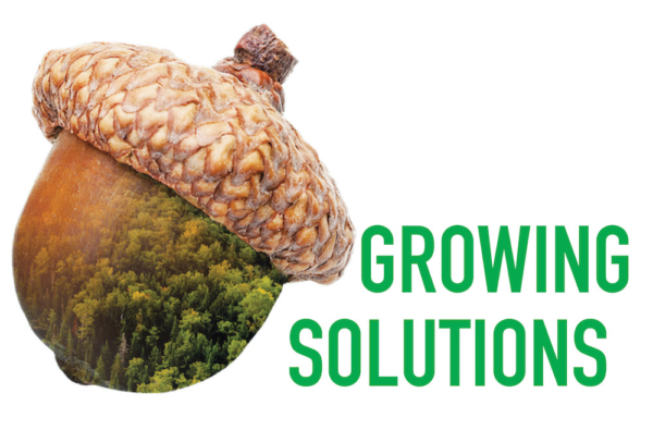 Acorn image - Growing Solutions title