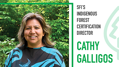 IR Team Highlight Graphics – Cathy_web Cathy Gallegos