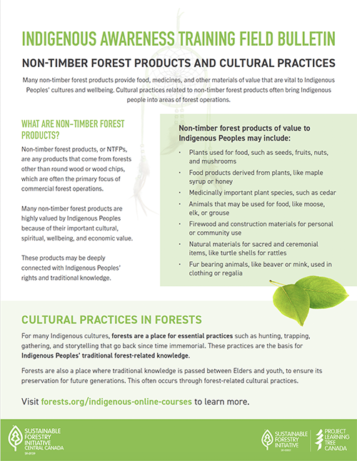 Indigenous Awareness Training: Non-Timber Forest Products and Cultural Practices