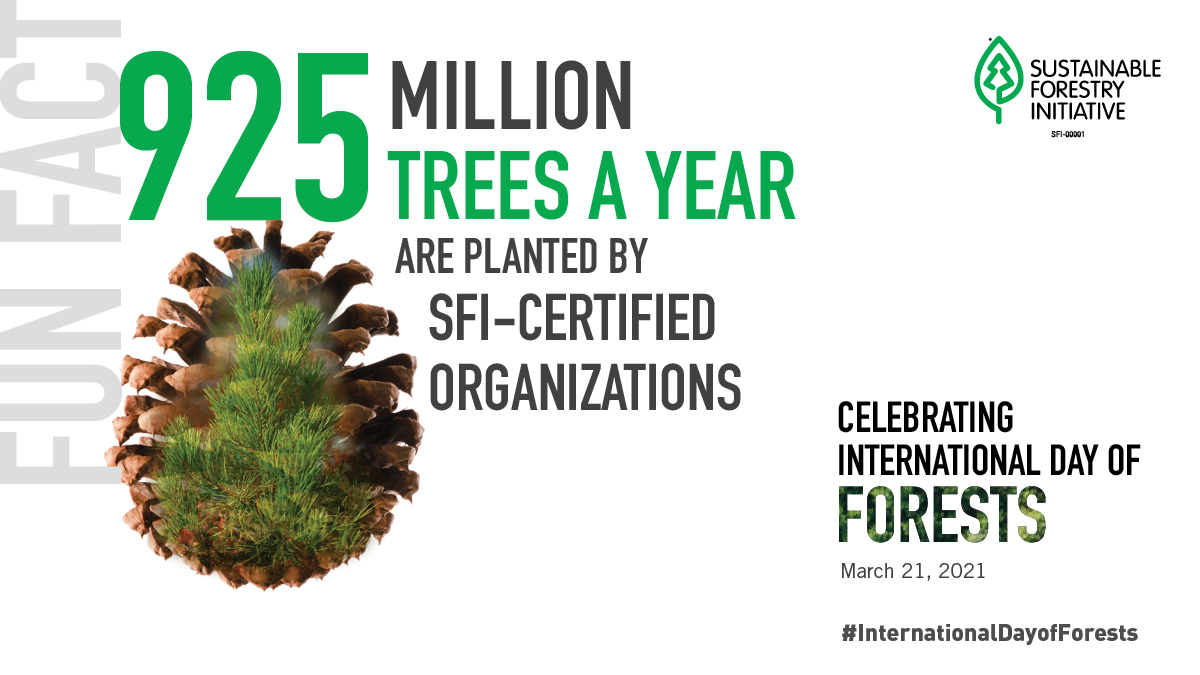 Sfi Celebrates The International Day Of Forests