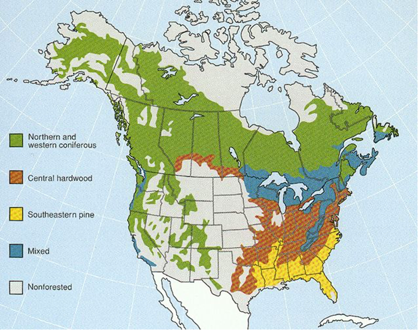 Forester's Blog: So, How much forest is there in the U.S. and Canada ...