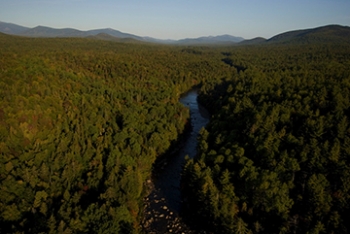 forest valley river
