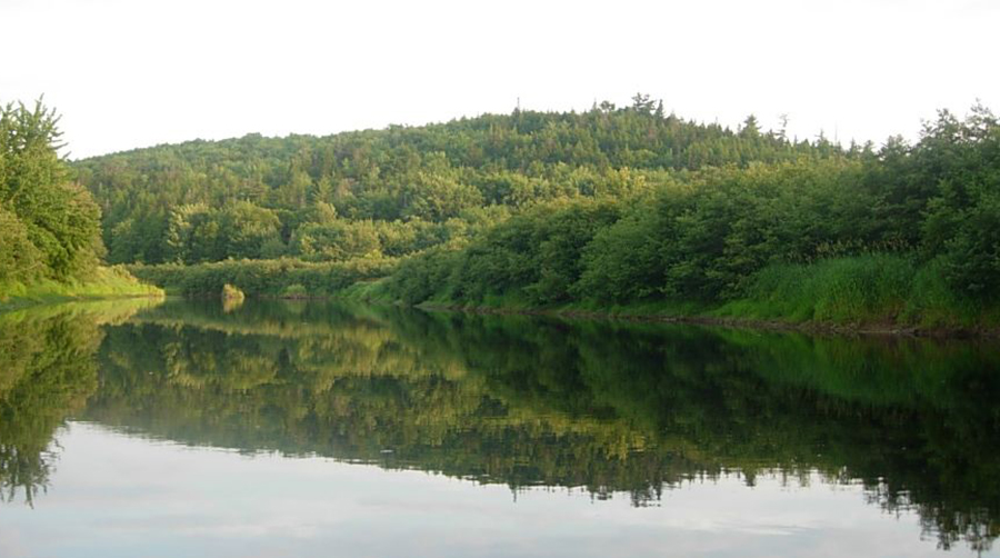 Active Rivers Area Project