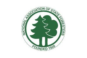NASF logo NASF logo