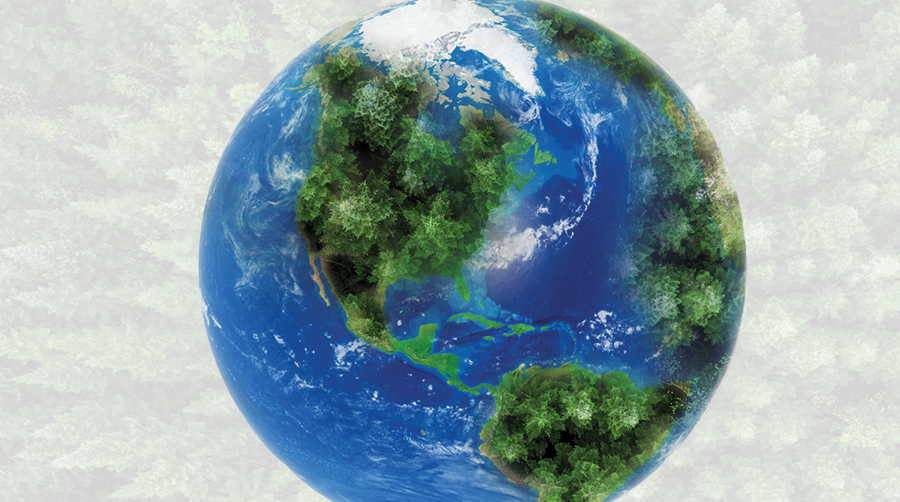 NCASI-SFI Carbon Tools