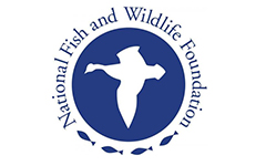 SFI Awarded NFWF Grant To Enhance Songbird Habitat In West Virginia ...