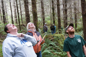 People looking up into trees