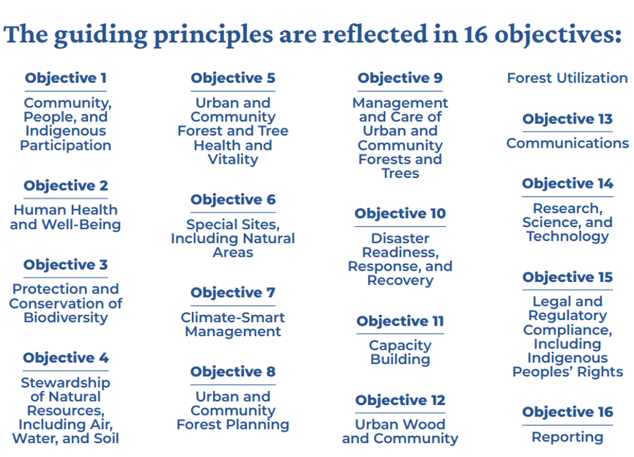 SAF_Forestry_Source_Blog_image_1