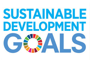 SDG Logo