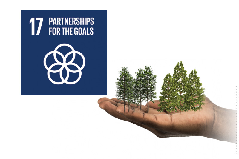 SDG_17-800×533