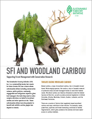 SFI Caribou Research and Engagement PDF