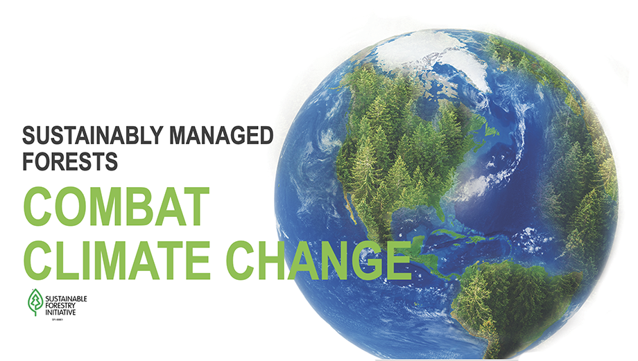 SFI_Combat_Climate_Change