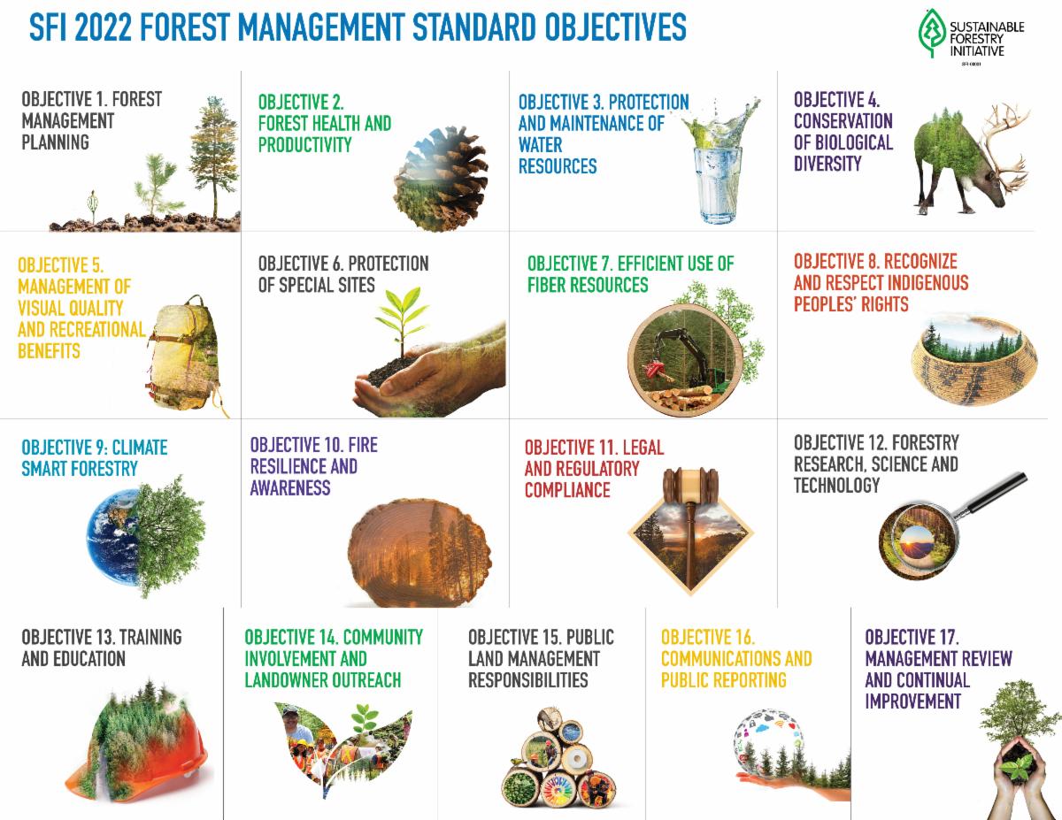 SFI 2022 Standards Officially Launched - Forests.org