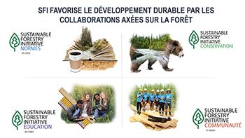 SFI advances Sustainability - Standards, Conservation, Education, and Community image