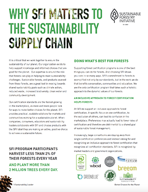 The Sustainability Supply Chain PDF