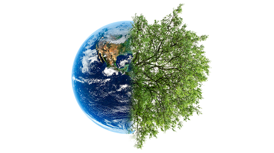 Climate Smart Forestry