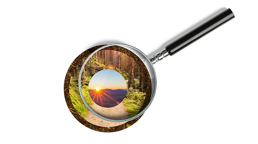 Forestry Research, Science and Technology