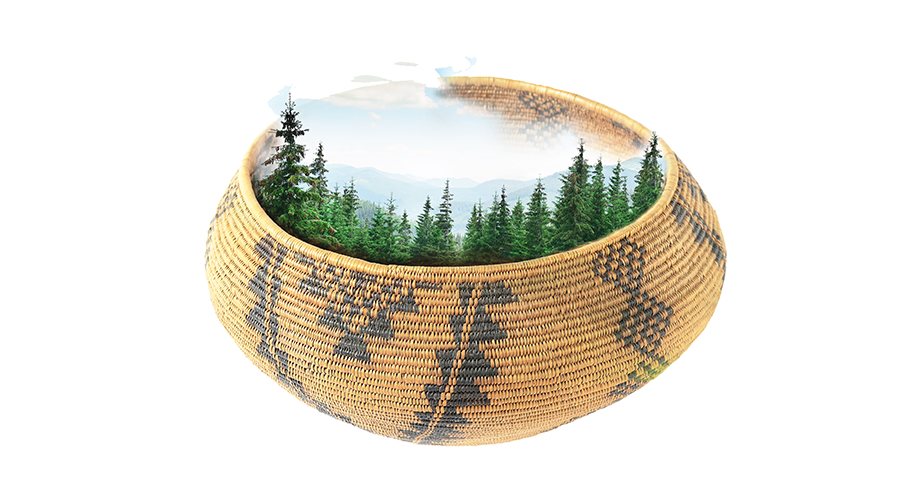 Recognize and Respect Indigenous Peoples' Rights