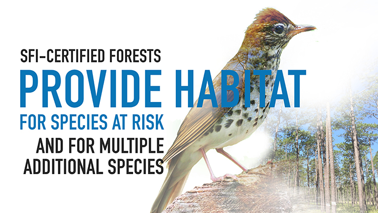 Species_at_Risk_2021_reverse_web