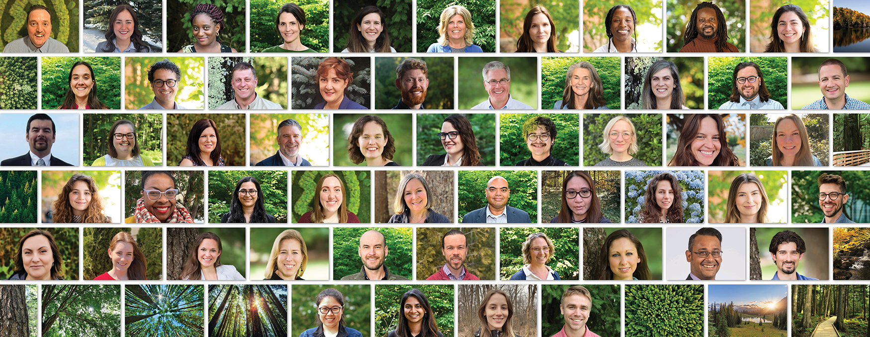 Staff Page Header 2025_Jun18_web SFI Staff photos