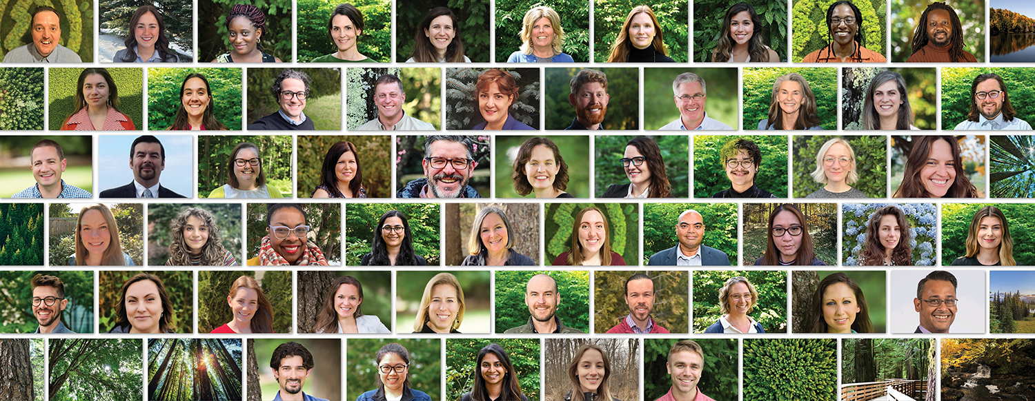 Staff Page Header 2025_May14_web SFI Staff photos