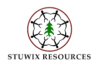 Stuwix_logo_350x250