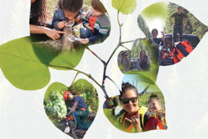 Connecting Communities to Forests