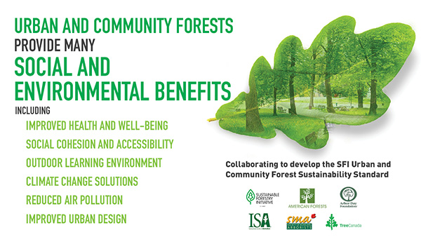 Urban and community forests provide many social and environmental benefits