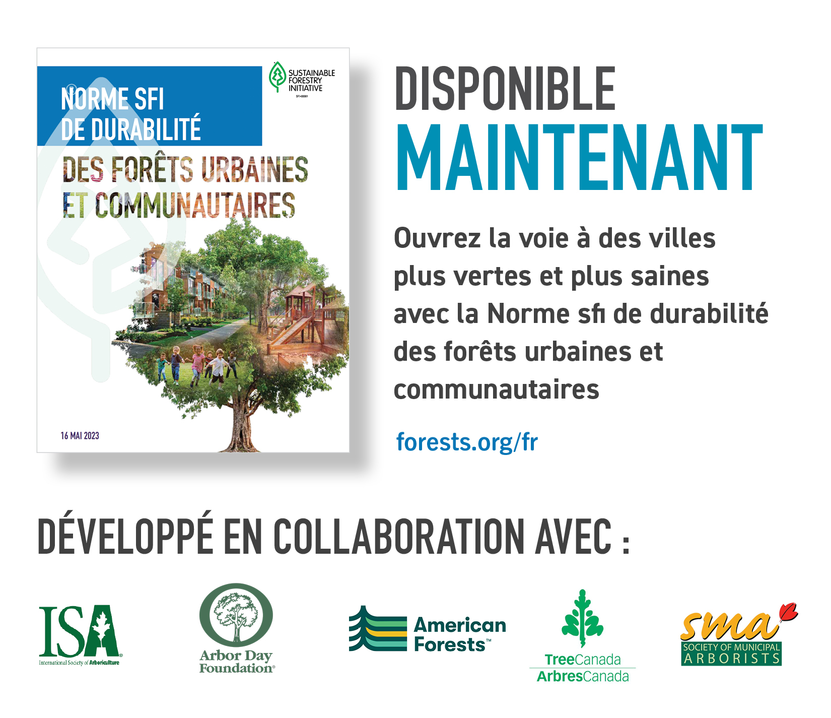 Urban_Forests_2003_Press_Release_image_FINAL_FR