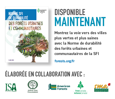 Urban_Forests_2003_Press_Release_image_FINAL_FR_Oct2023