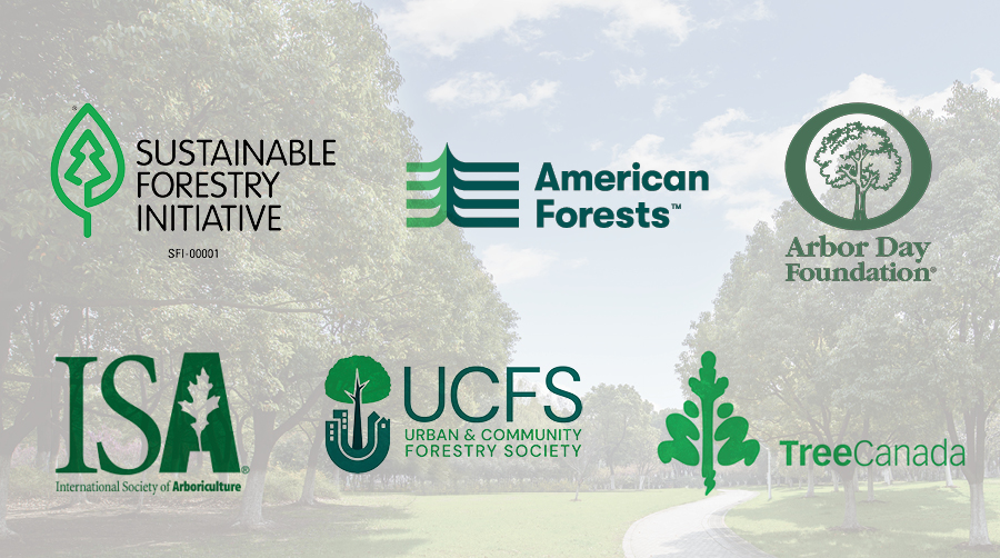 Leading Standards and Urban Forestry Partners Collaborate to Develop A New SFI Urban and Community Forest Sustainability Standard