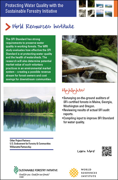 WRI project overview PDF image